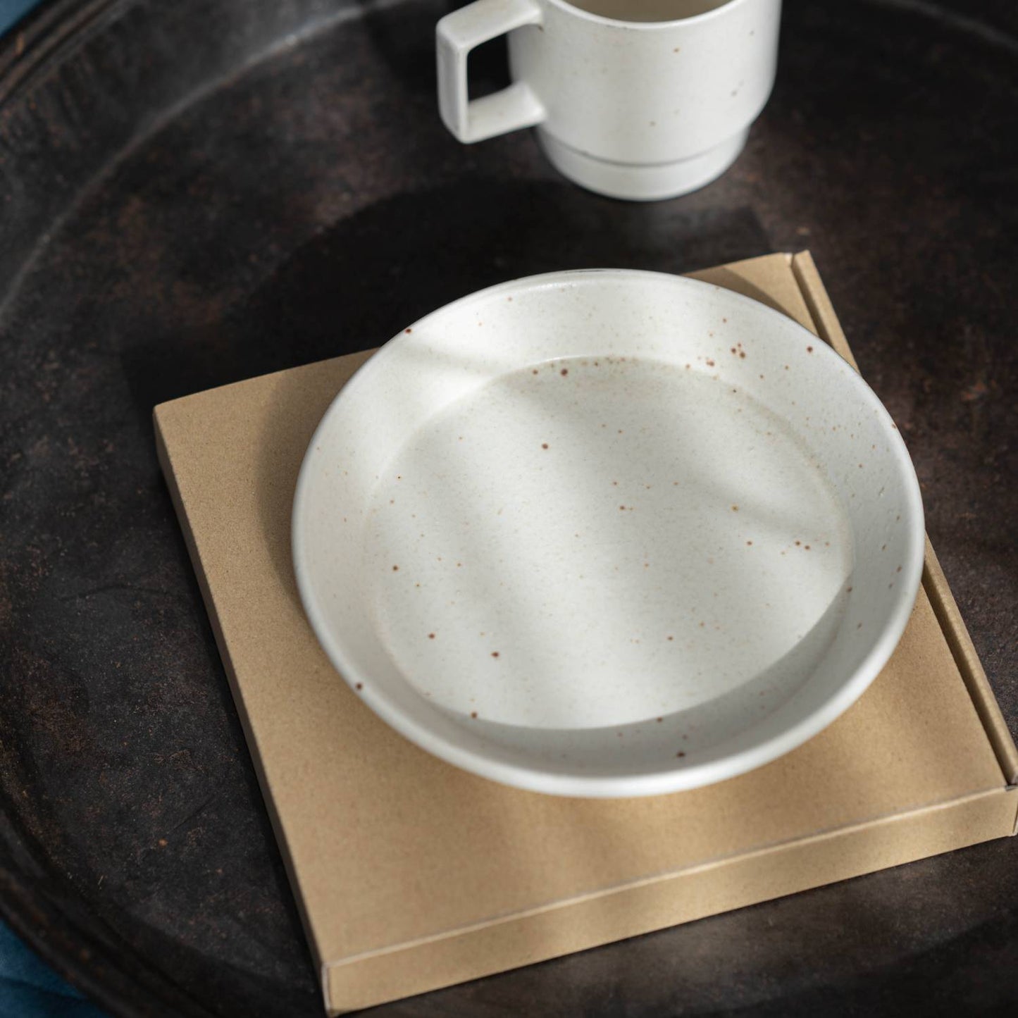 Tsubame Sanjo Silver Cutlery × Mino Ware Ground Plate Set