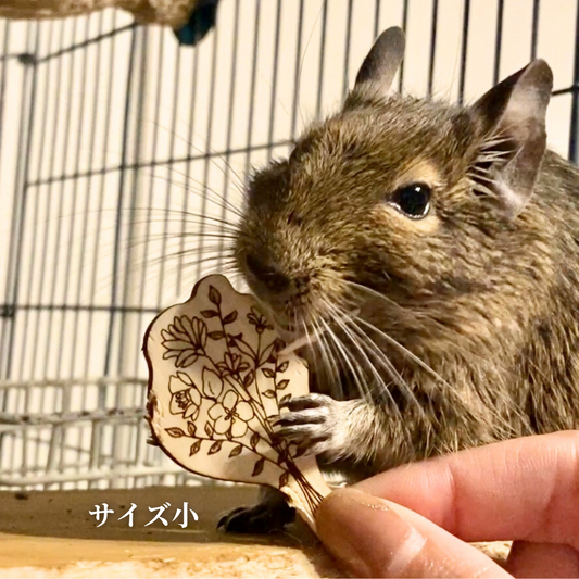 がじがじブーケ【むぎてとはうす】