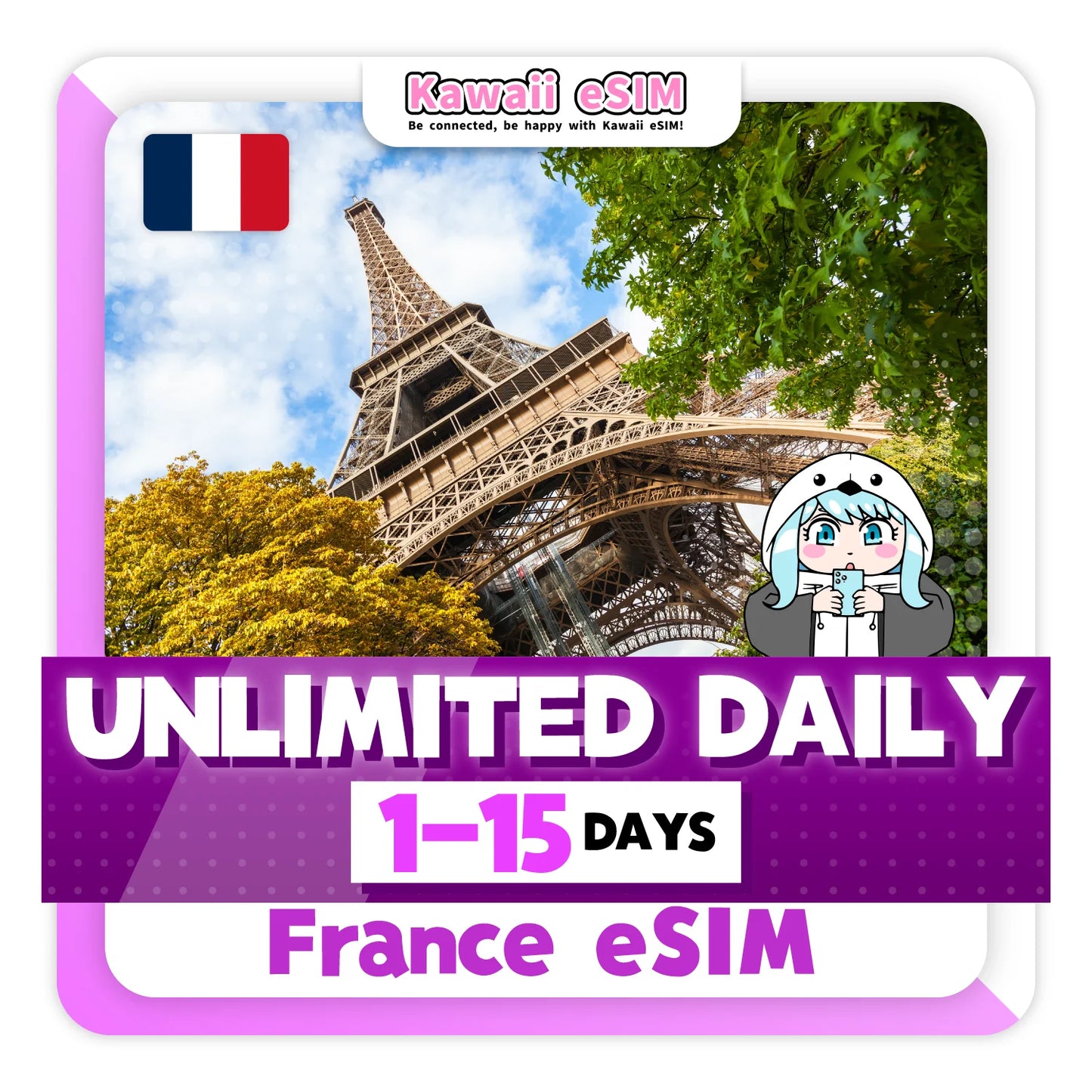France eSIM