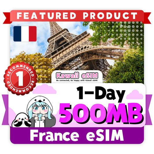France eSIM